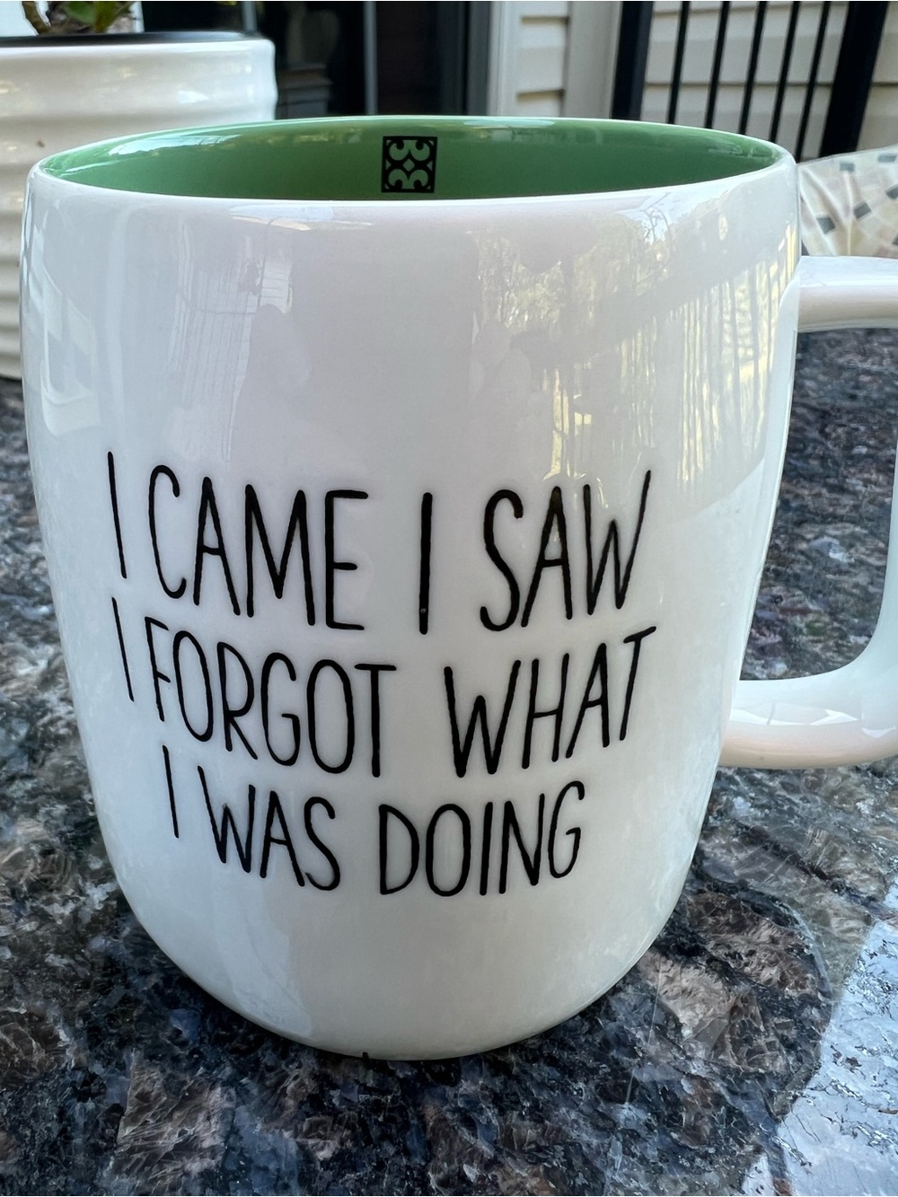 Rae Dunn White Ceramic Mug with Green Interior - I CAME I SAW Funny Coffee Cup
